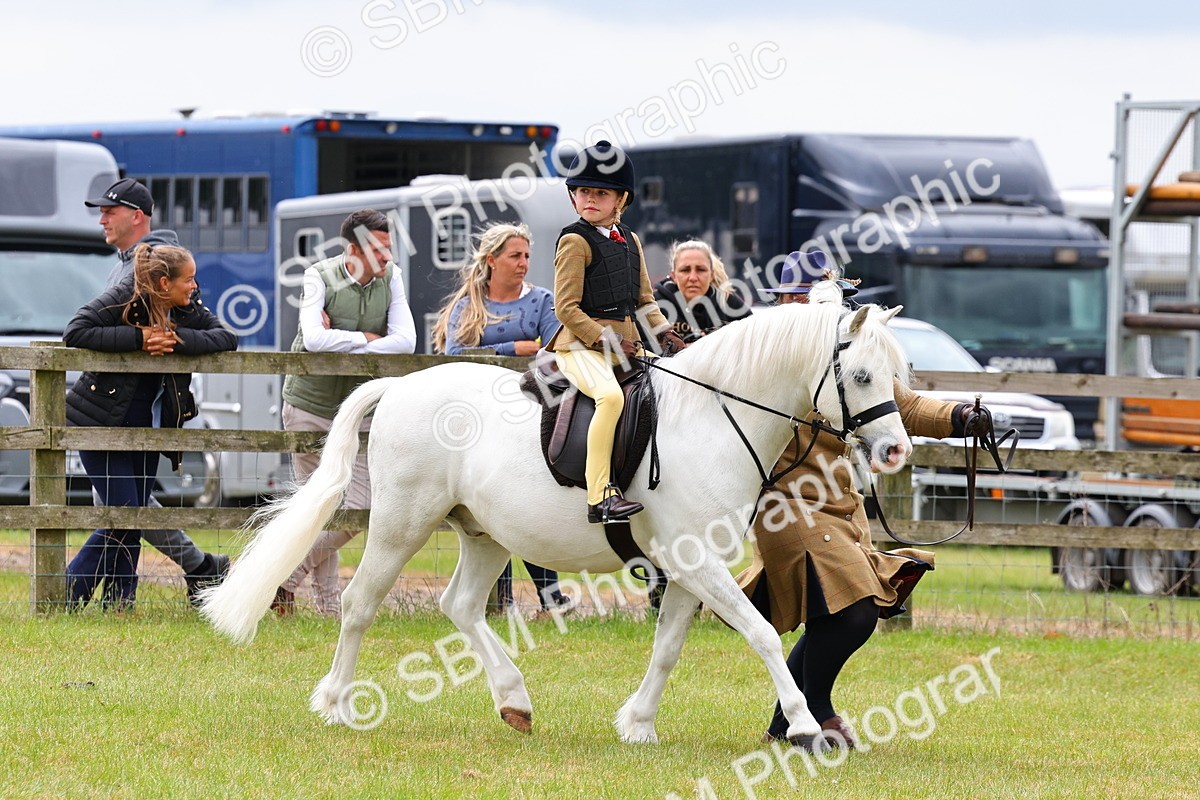 SBM_08190 - Class 42-43 - LIHS BSPS Heritage Working Sports Pony