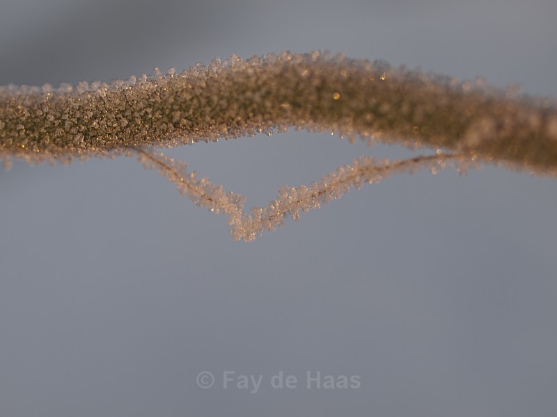  - Winter's Sparkle