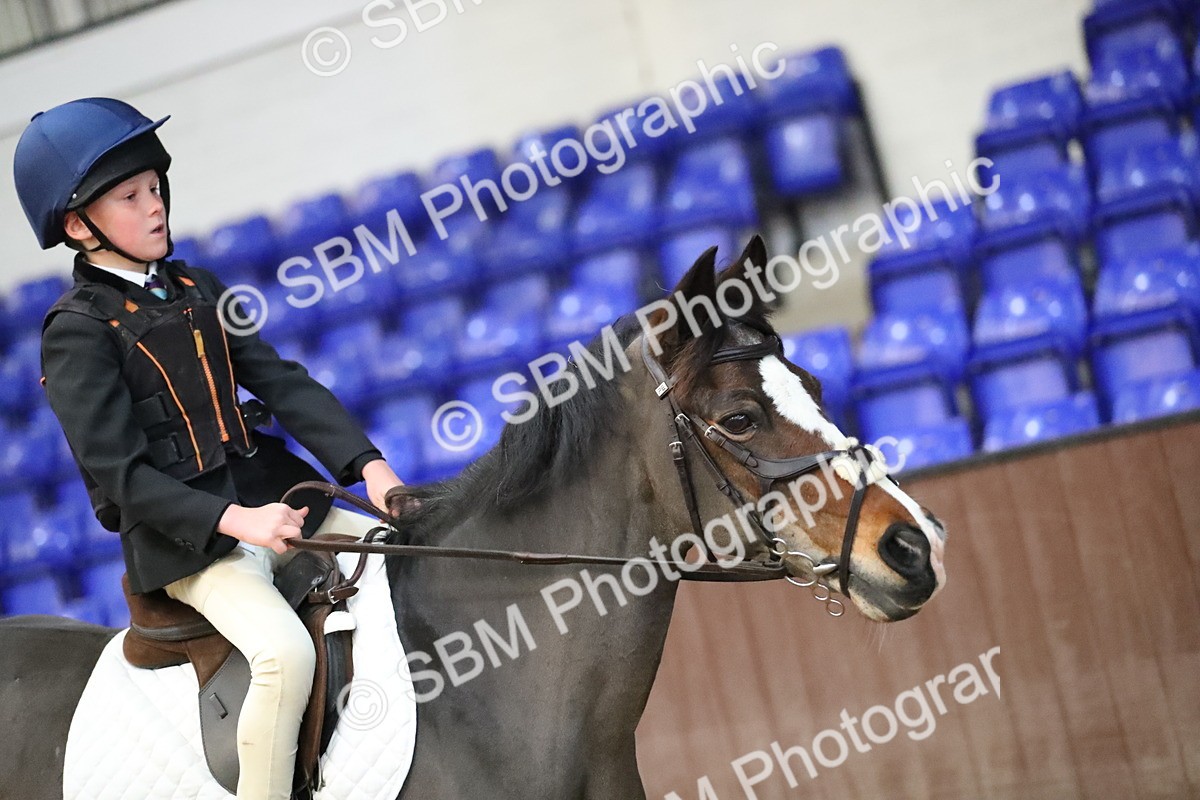 SBM_000142 - Class 1 - Show Jumping 50cm