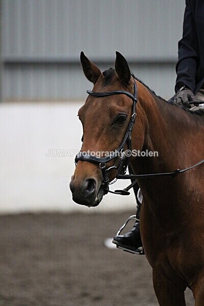 SIAL4103 - CAbin Dressage 5th july 2025