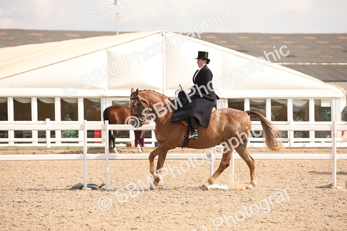 SBM_06735 - Class 24 Concours d'elegance