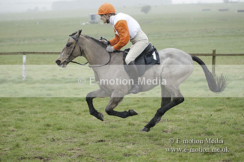 PtP 150320 0091 - New Forest Point-to-Point Larkhill 15/03/20