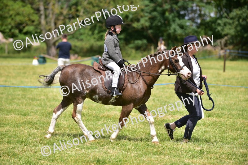 20260614-1361 - Class 11b - Lead Rein Pony (Plaited)