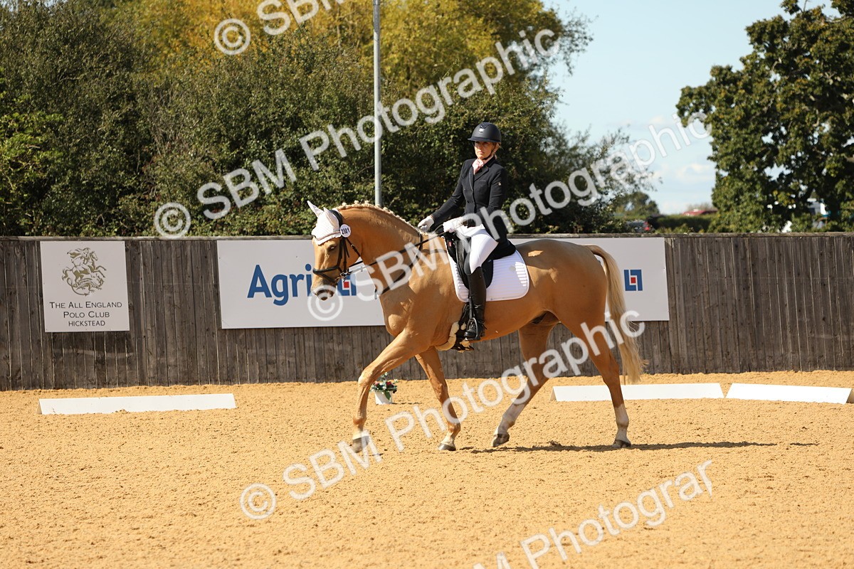 SBM_22308 - D17 - Grand Tour Championship - Novice 27