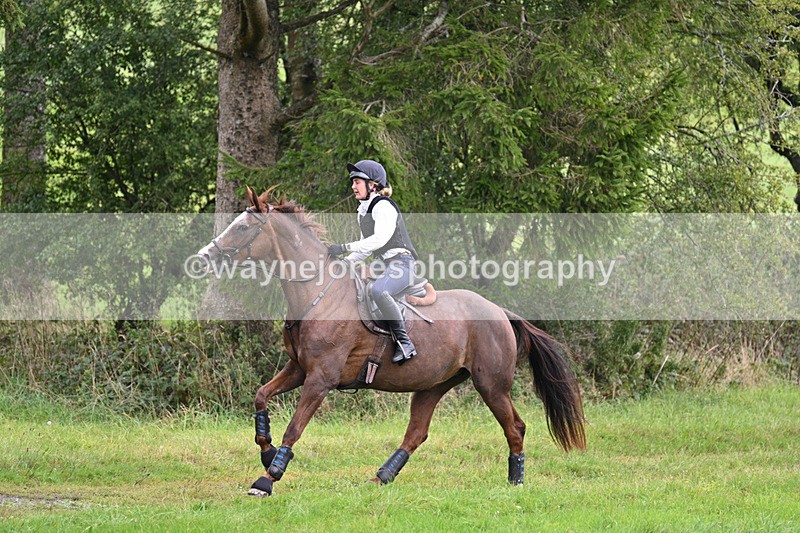 WJ7_8287 - Time 14:11 to 14:30