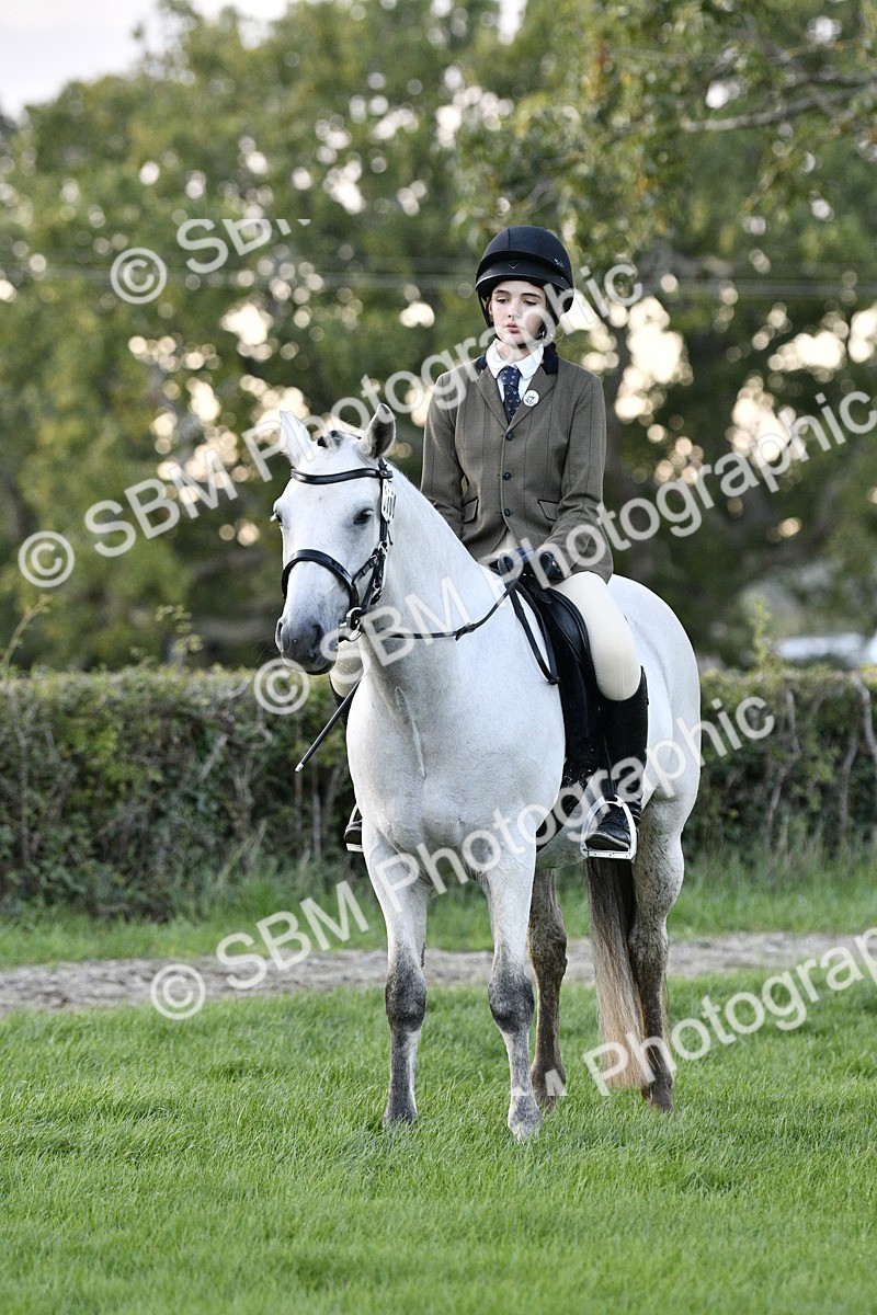 SBM_53604 - S14 - Riding Club Horse