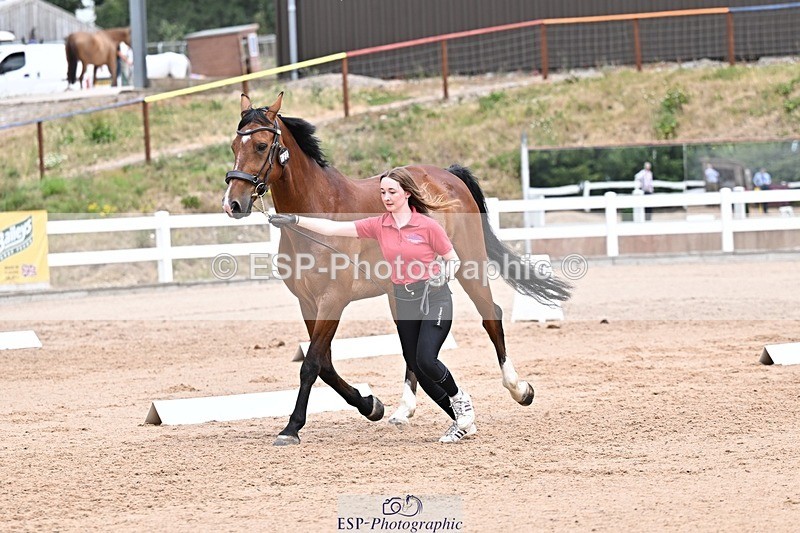 250716-133536-00584 - Trot Up 1.30 to 2.30