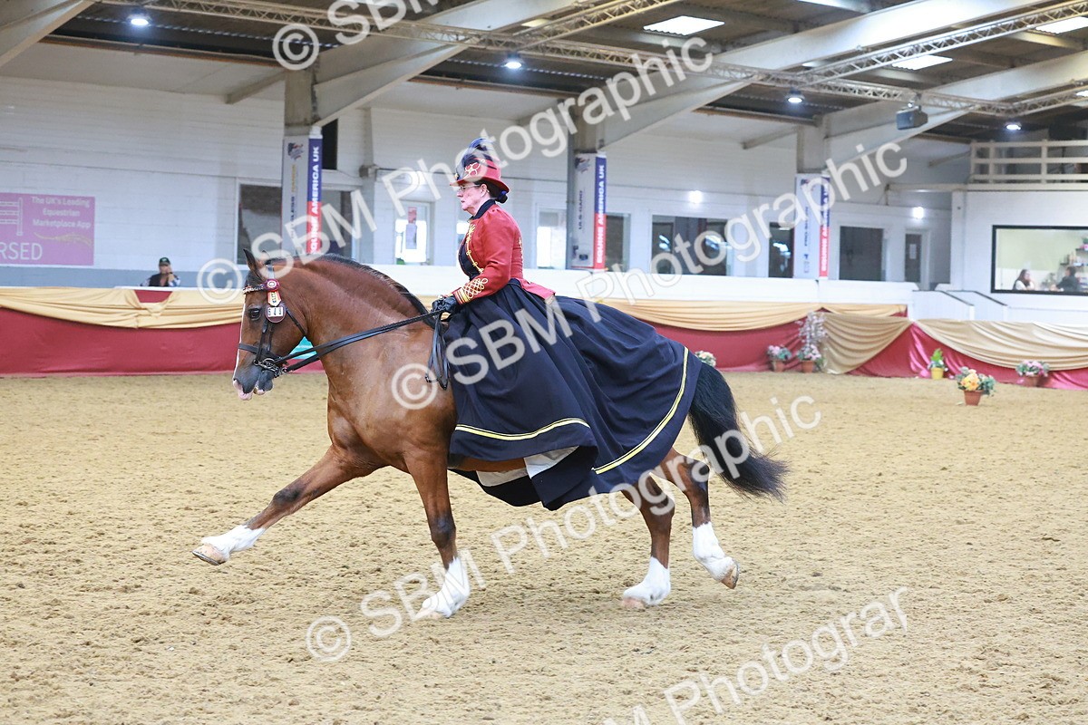 SBM_14790 - Class 108 - Ridden Costume - Astride Adult (20+)