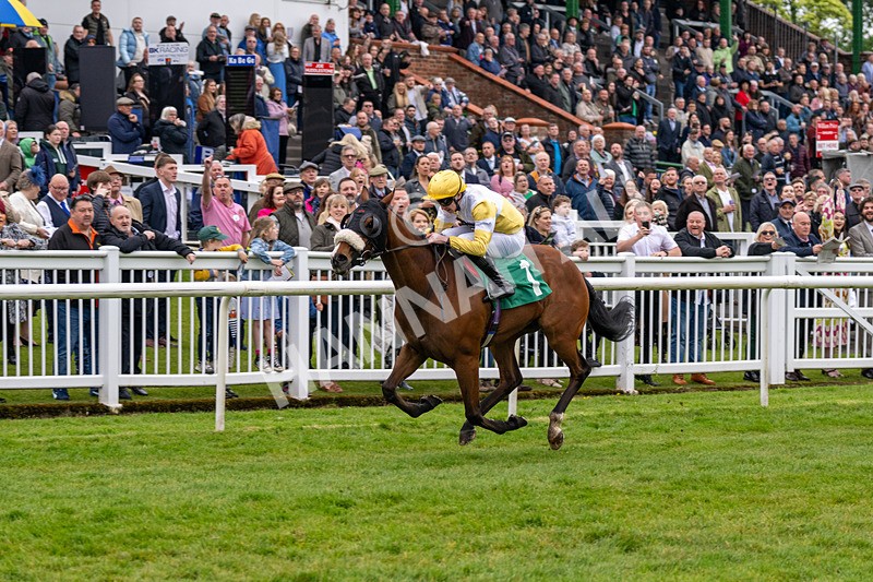 040524-Race 2-Wobwobwob-4088 - Race 2