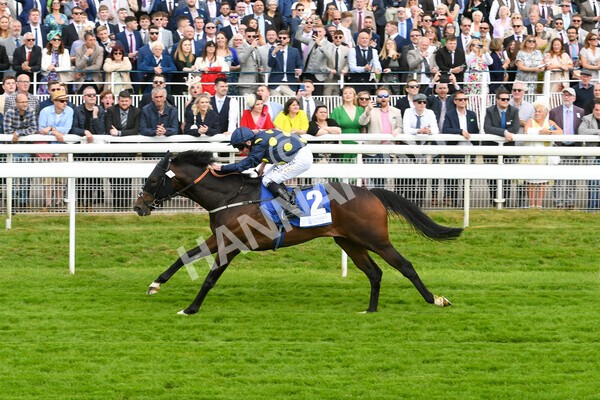 yr11062022r5-34 - Race 5 3.40pm The Pavers Foundation Catherine Memorial Sprint Stakes