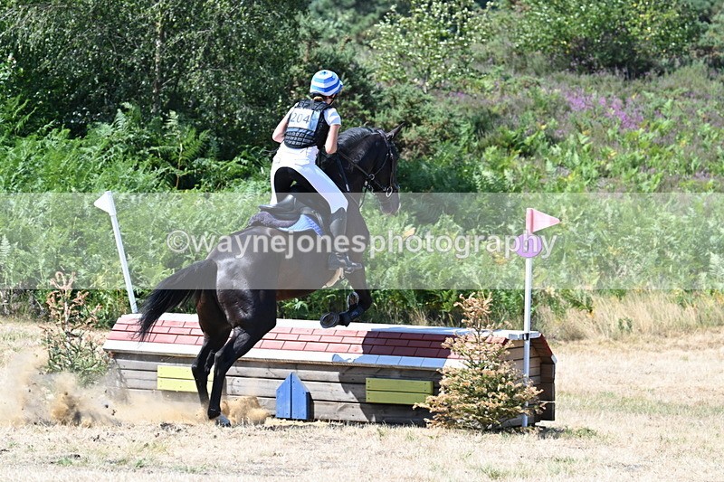 WJ7_4673 - Time 11:19 to 11:39