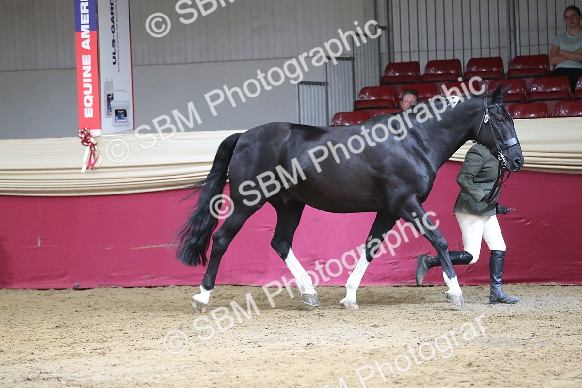 SBM_06547 - Regional IH Champ