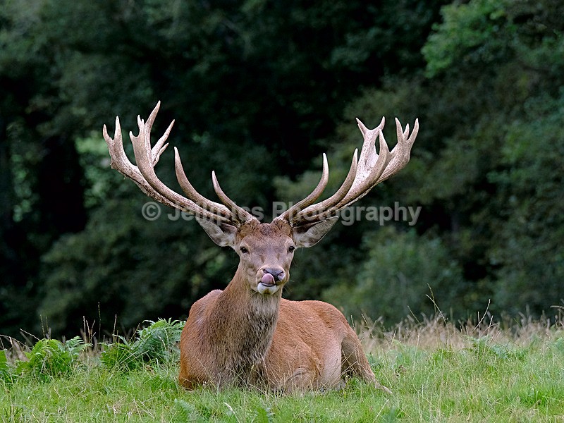  - Wildlife and Nature