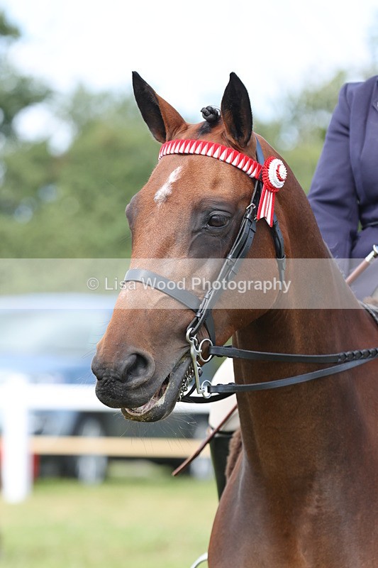 JPP_1352 - Class 17: Cornish Combination Open