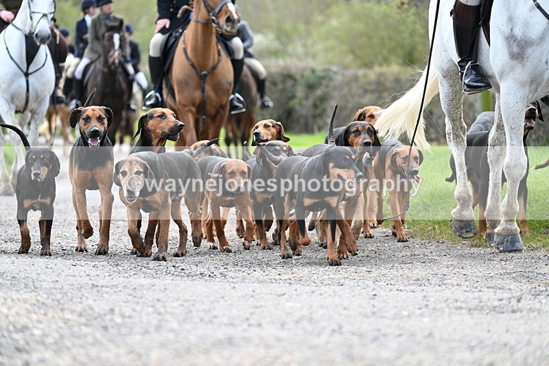 WJ7_9800 - Walk Home