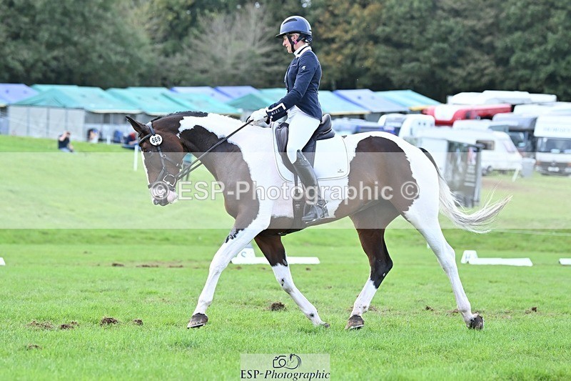 231020-145156-11004 - 669-FOXRIDGE.HIGH.JINX-Claire.Deuten-DR