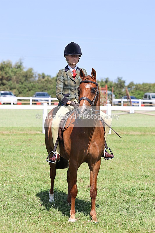 IMG_2019 - Class 34: Show Hunter Pony 153cm and under