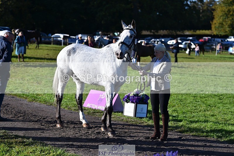 231022-100342-22215 - 474-MENELAUS-Elise.Washer-TrotUp+SJ