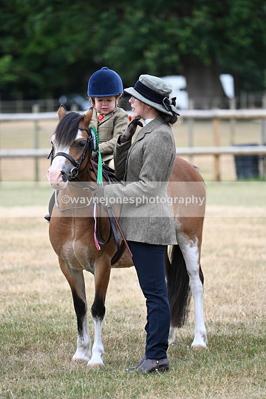 WJ7_9939 - Class 1 Lead Rein Pony
