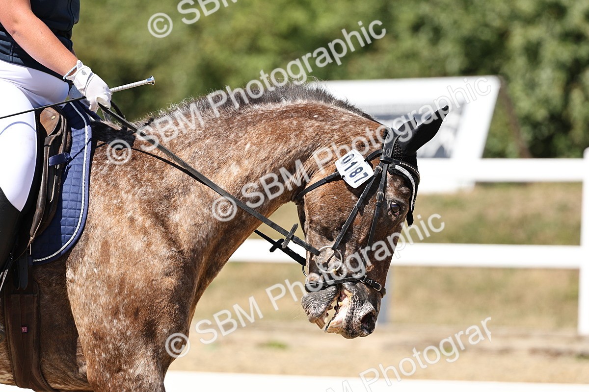 SBM_002635 - Prelim 4 - 13.41-16.04