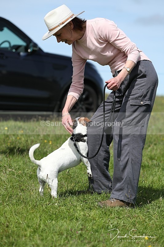 SPXX0542 - Dog show