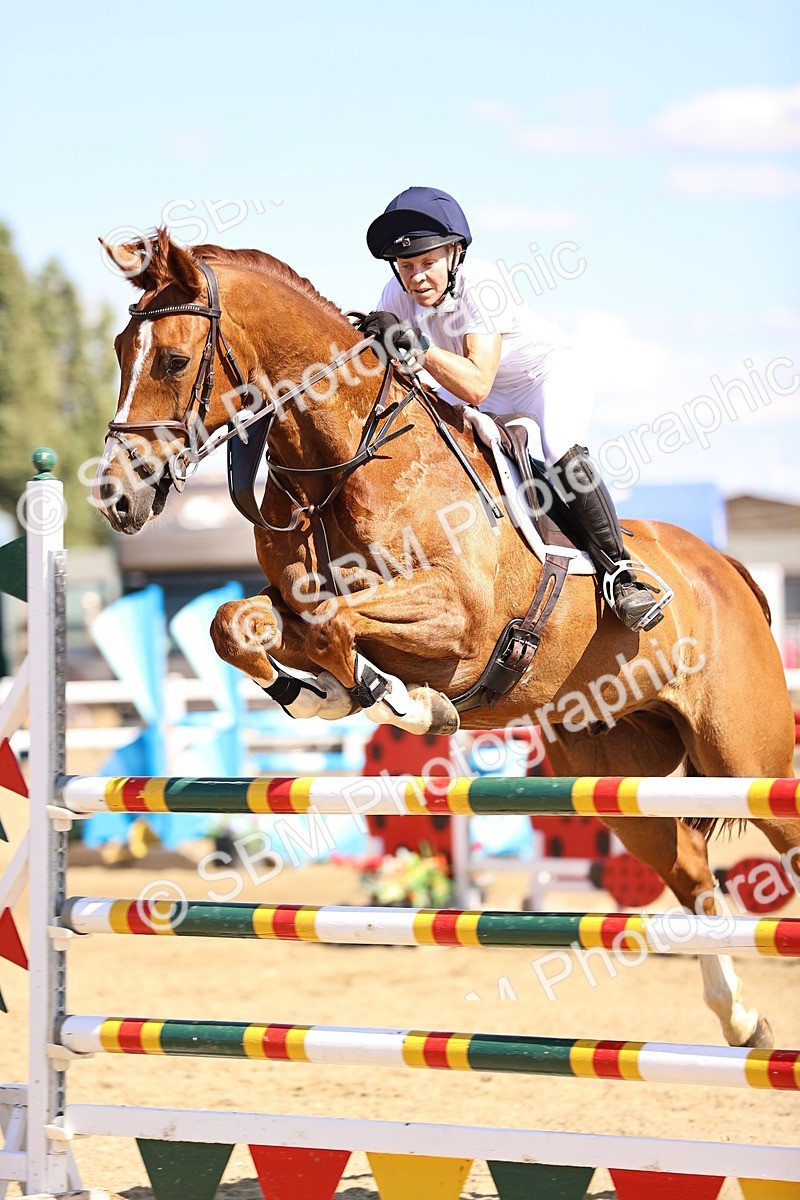 SBM_015479 - Class 16 - Senior foxhunter - 1.20m Open