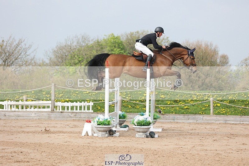 250424-105029-03256 - Cls 33 Young Horse 7yr old