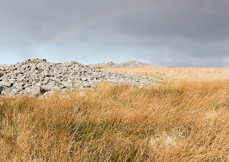 Sky, Stone, Grass & Rush - Atrium Gallery