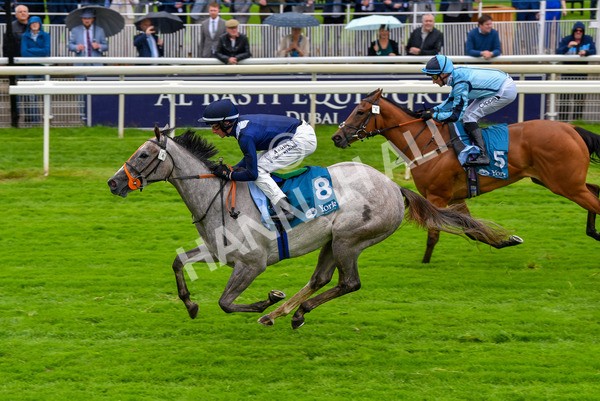 140723-Race 3-Symbology-8179 - Race 3 3.15pm William Hill Keep Your Raceday Positive Irish EBF Fillies' Novice Stakes