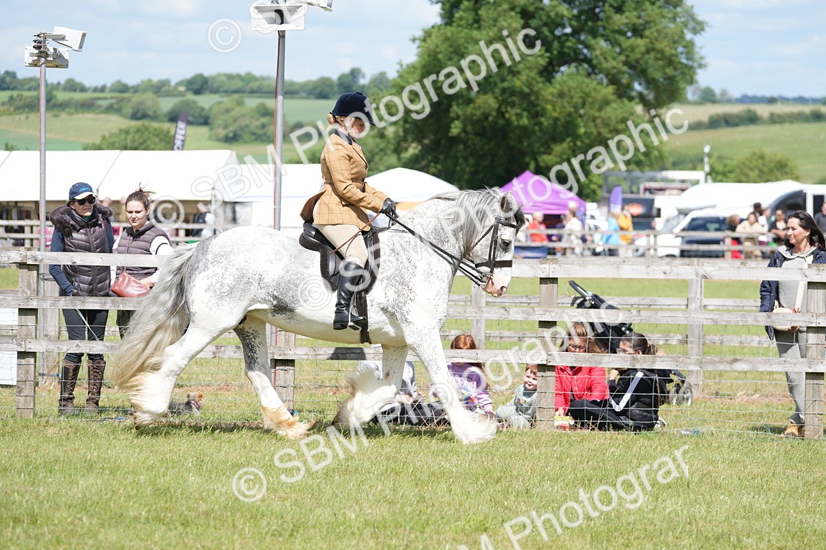 SBM_17110 - Class 107-108 - LIHS BSPS Performance Coloured Horse Pony