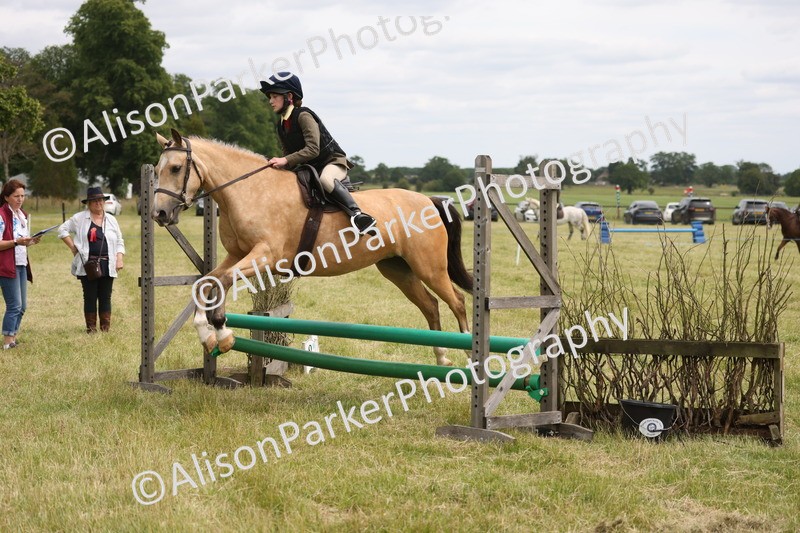20260614-2969 - Class 22 - Open Working Hunter