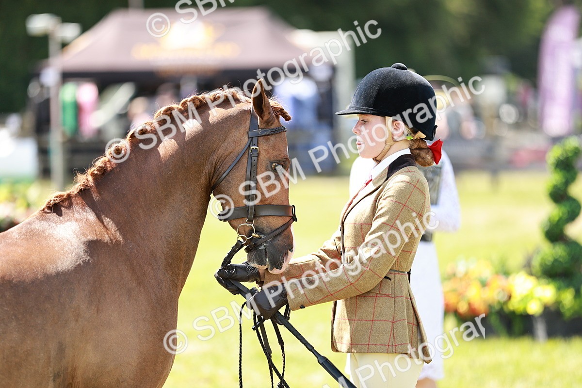 SBM_15682 - Class 108-109 - BSPS LIHS Open Gradle & Nursery Stakes