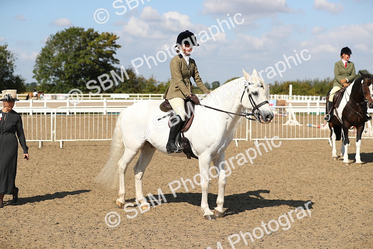 SBM_03174 - Class 44 Riding Club Horse/ Pony