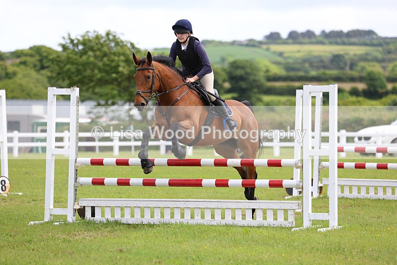 3E7A7618 - Class 13: Senior British Novice/90cm open