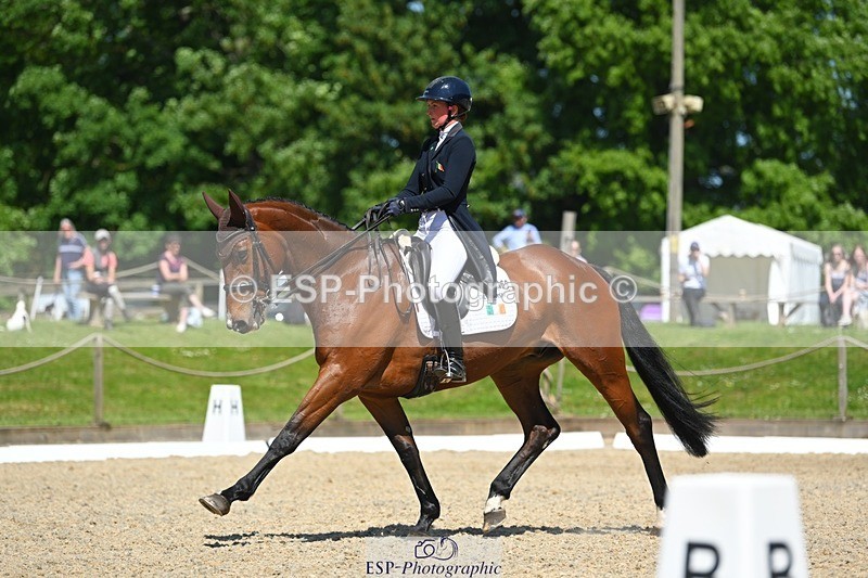 230526-113614-05799 - 469-WELLFIELDS_LINCOLN-Susie_Berry-DR