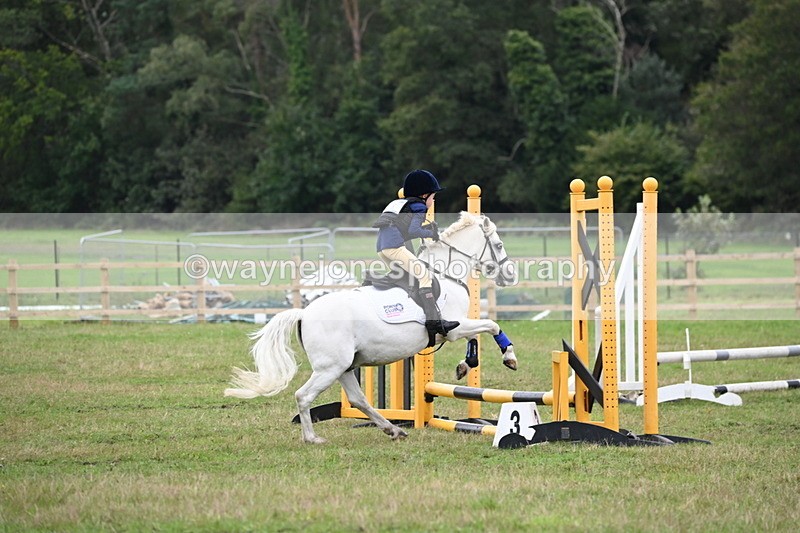 WJ6_0379 - 40cm Time 10:29 to 10:52