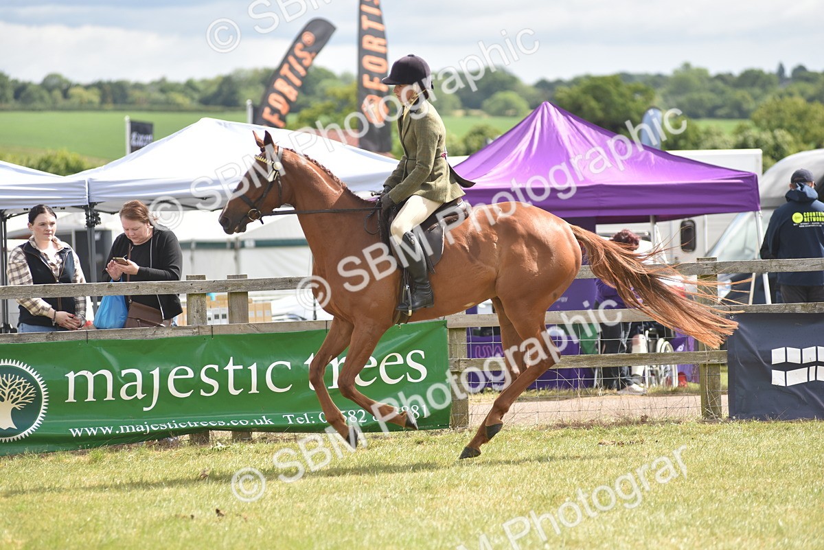 SBM_15084 - Class 113-114 - Retraining of Racehorses Ridden