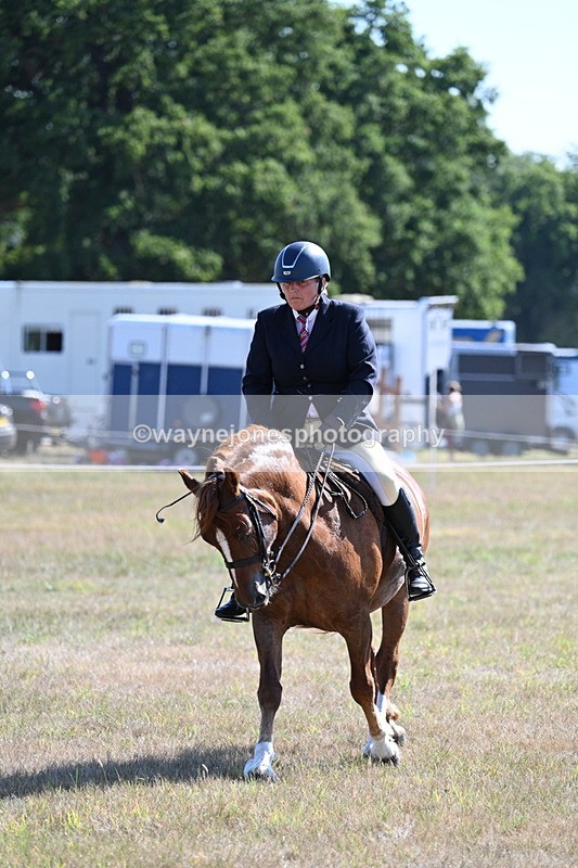 WJ7_3867 - Class 9 Mountain & Moorland Ridden