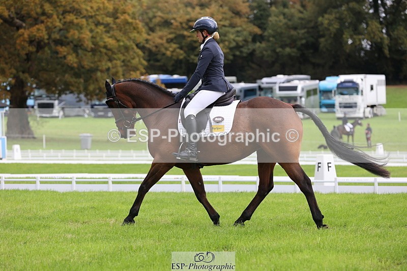 251023A-114924-03416 - E-384-Holly.Horton