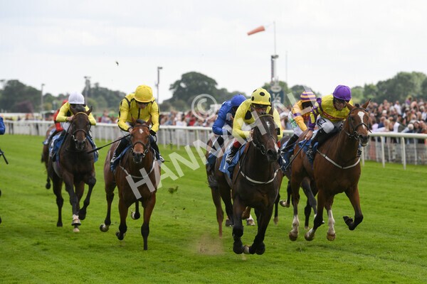 yr11062022r6-20 - Race 6 4.15pm Reg Griffin Appreciation EBFstallions.com Maiden Stakes