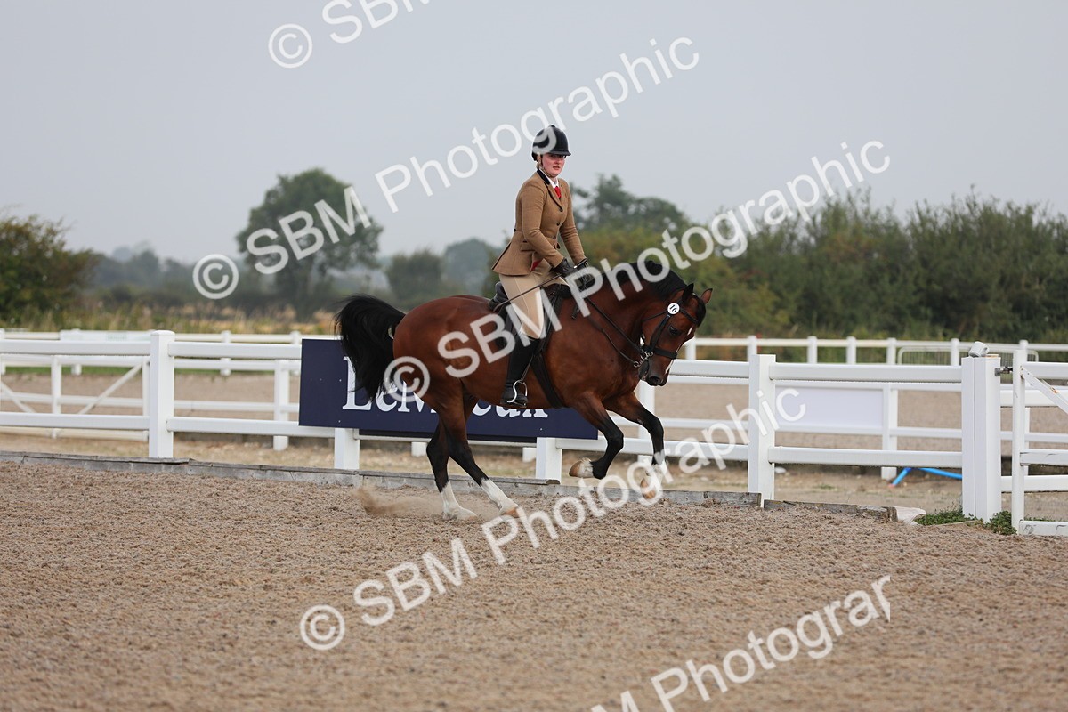 SBM_10004 - Class 302 Ridden M&M -Large Breeds
