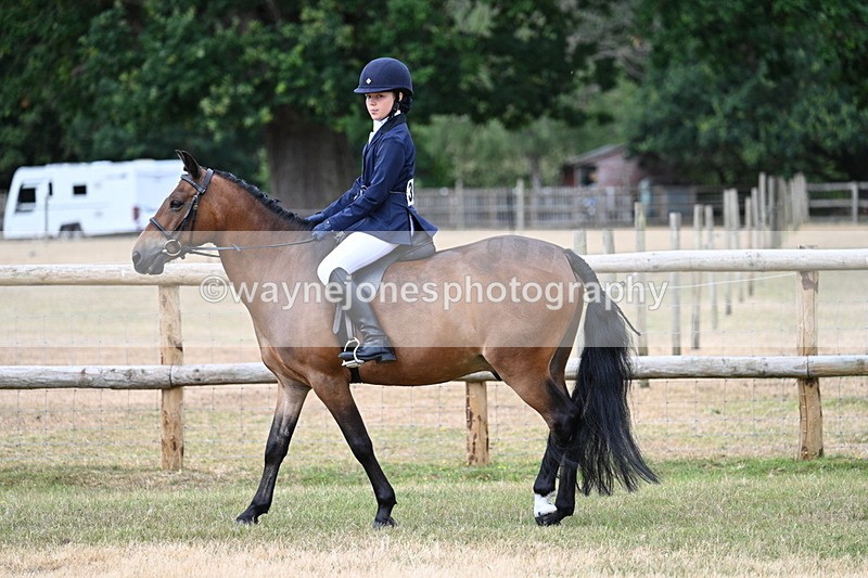 WJ7_0022 - Class 2 Best rider