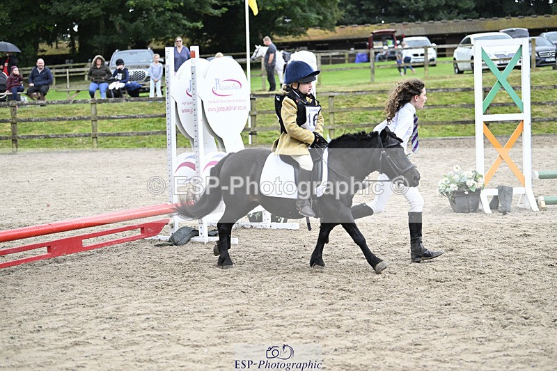 240822X-144205-09211 - 40cm LR R2 13.00 to 15.00