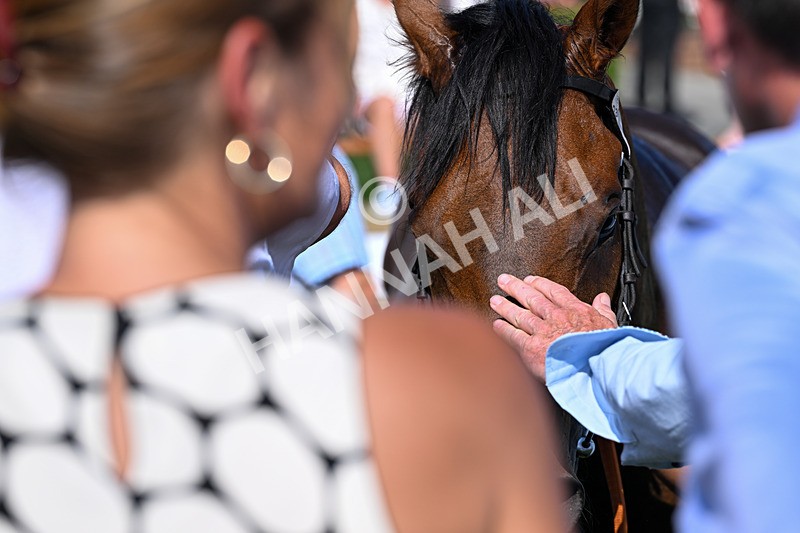 100726-Race 6-Ziggys Triton-0836 - Race 6 17.05pm William Hill Keep Your Raceday Positive Handicap