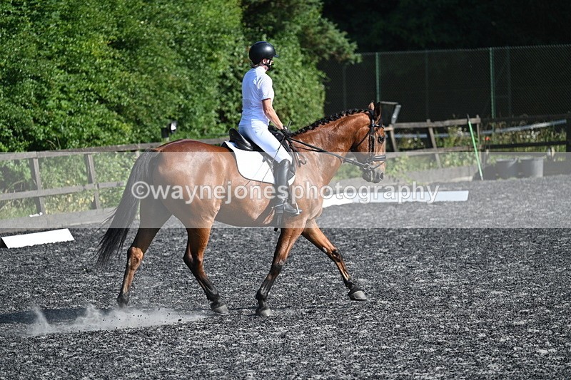WJ7_8781 - Time 17:51 to 18:30