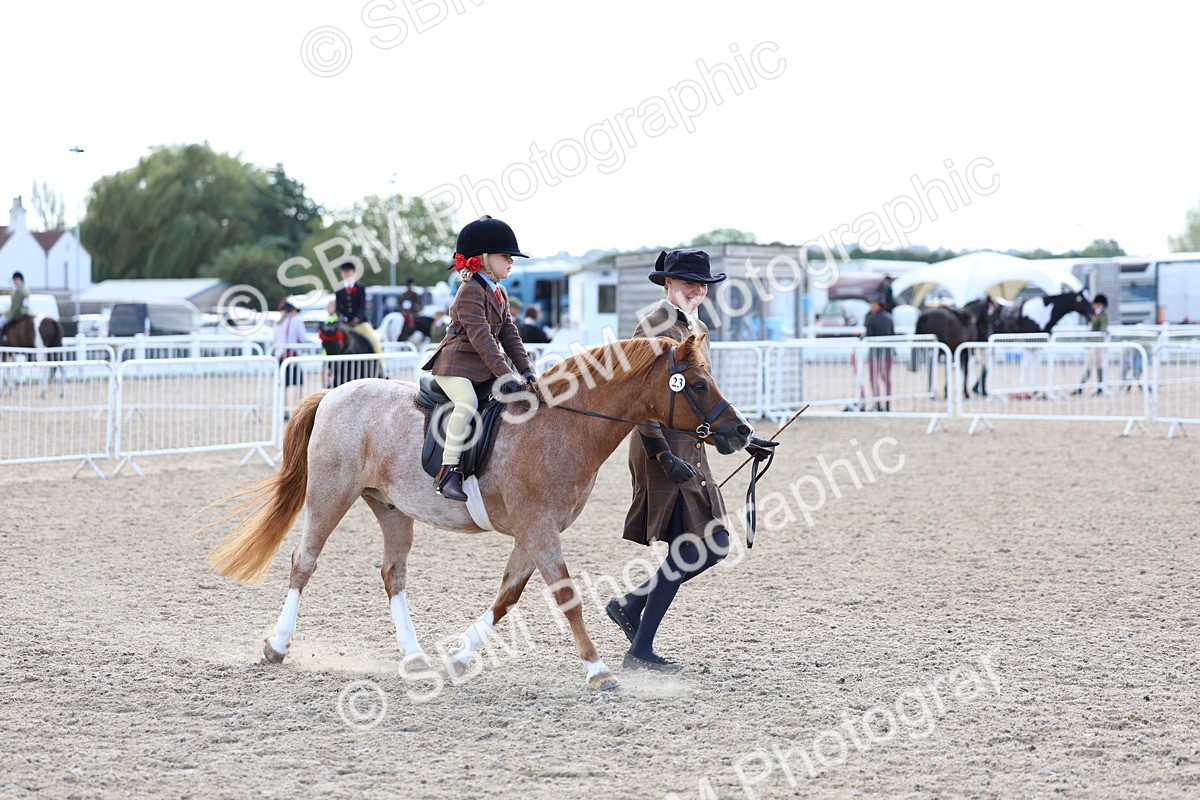 SBM_13103 - Class 309 - Lead Rein Pony