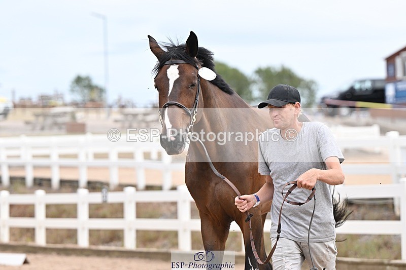 250716-152503-01921 - Trot Up 2.30 to 3.30