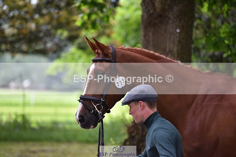 240522-164734-01161 - 221-LAGANS_RICE_STAR-Oliver_Thompson