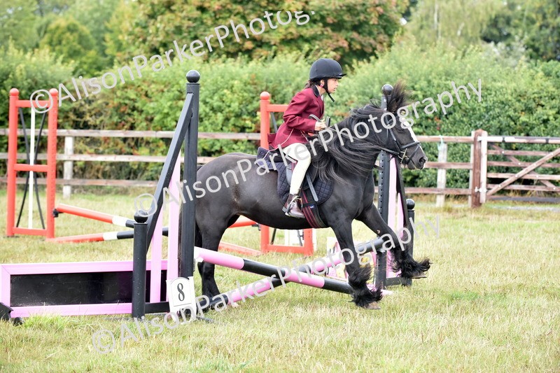 20250831-1780 - Class 8 - Hoof and Foot