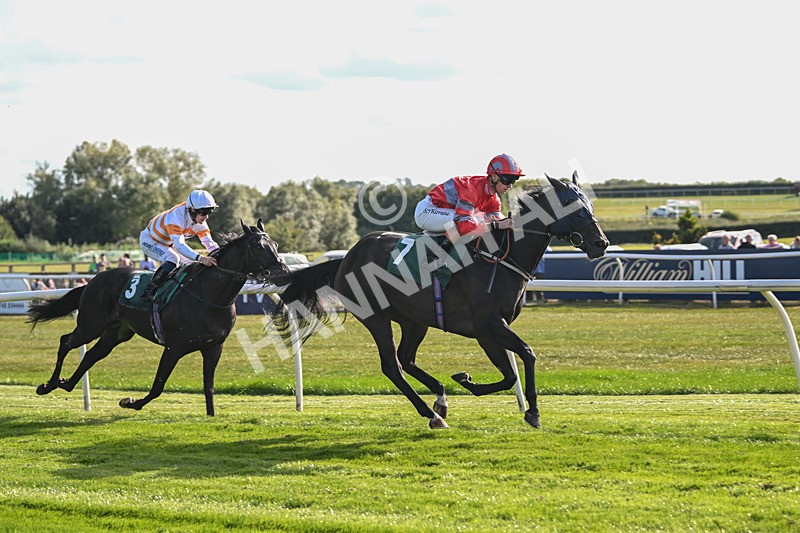 090925-Race 5-Dream Deal-9229 - Race 5